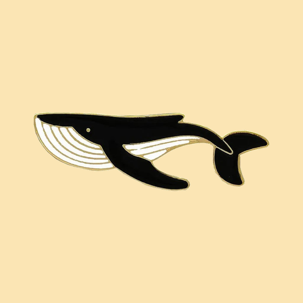 Baleine — fond