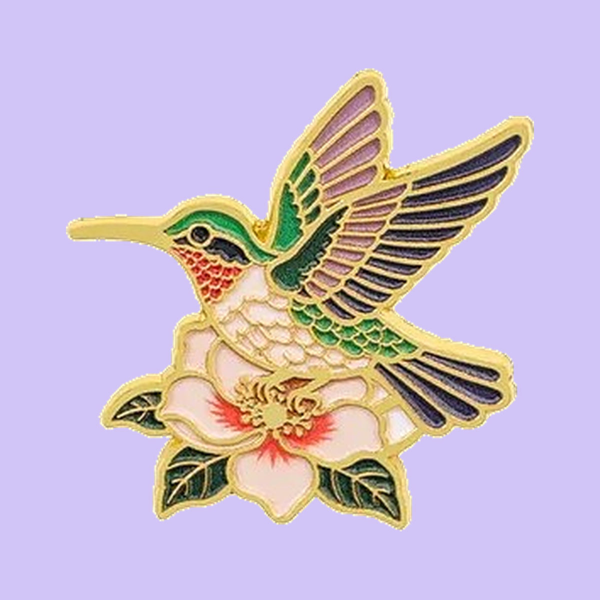 Colibri et Rose — fond