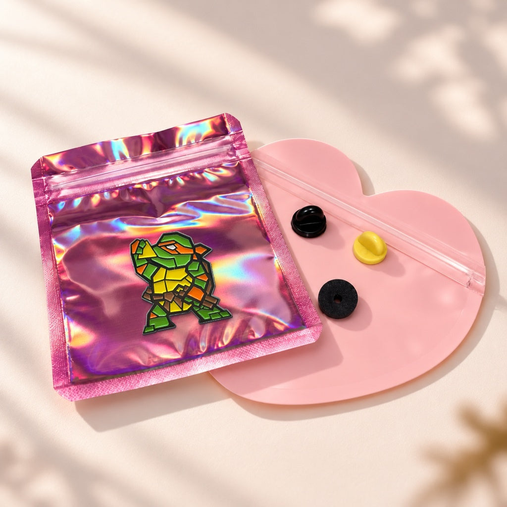 Tortue Pixelisée — pochette