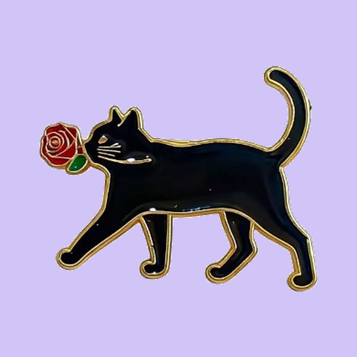 Chat avec Rose — fond