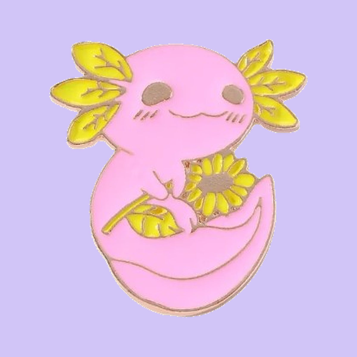 Axolotl et Tournesol — fond