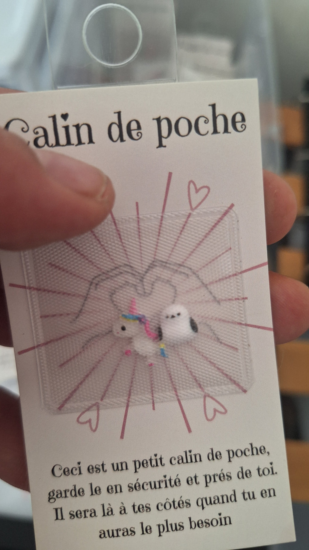 Câlin de poche